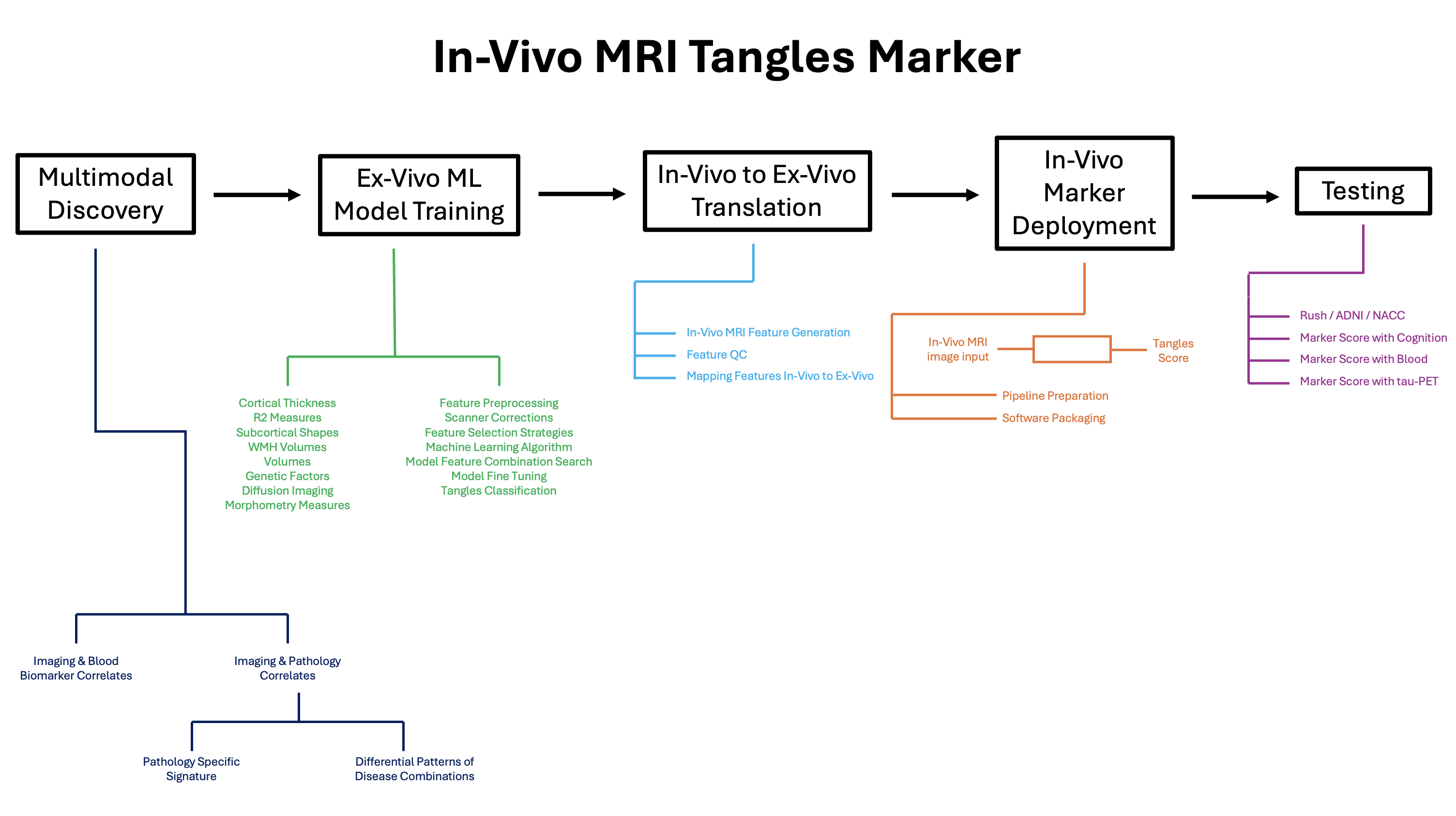 In-Vivo MRI Tangles Marker visual summary